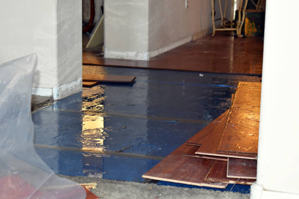 Professional Water Damage Restoration technician working in Lexington, MO